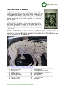 Varkenspoot 1 - Wikiwijs Maken