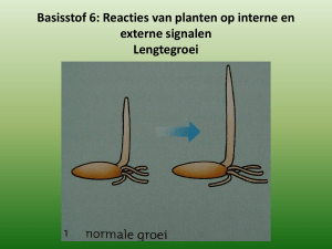 Basisstof 6 Reacties van planten op interne en