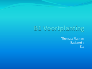 B1 T2 Voortplanting 3.52MB