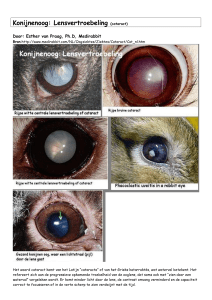 Konijnenoog: Lensvertroebeling (cataract)