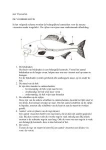 Vissoorten en herkenning.