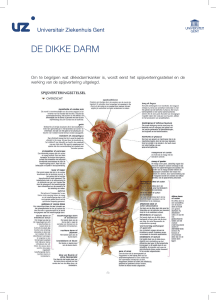 De dikke darm