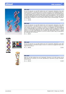 DNA modellen 1 (N).pub