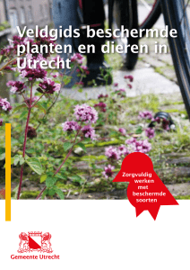 Veldgids beschermde planten en dieren in Utrecht