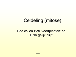 Celdeling (mitose)