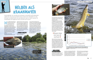 Interview waterkwaliteit IJsselmeer in hengelsportblad BEET