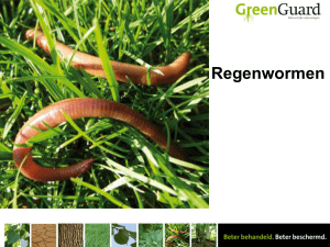 Lespakket Regenwormen