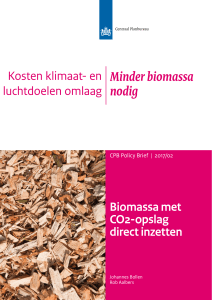 Biomassa met CO2-opslag direct inzetten