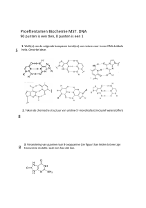 Proeftentamen Biochemie MST. DNA 5 8 8