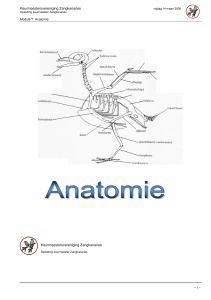 Module 7: Anatomie - NBvV | Keurmeesters