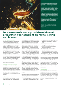 De meerwaarde van mycorrhiza-schimmel - Wageningen UR E