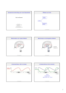 Dynamische Verlichting voor onze Gezondheid Effecten van licht
