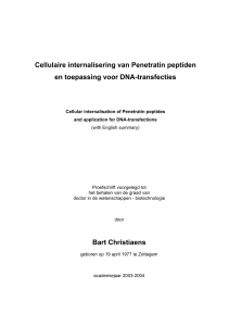 Cellulaire internalisering van Penetratin peptiden en toepassing