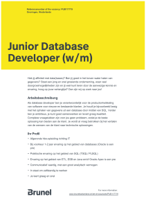 Junior Database Developer (w/m)
