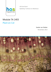 Module TA 1403 Plant en Cel - Wageningen UR E