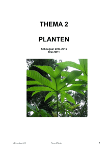 thema 3 planten - Wikiwijs Maken