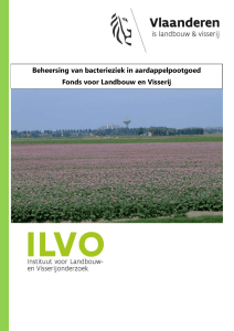 DOCBeheersing van bacterieziek in aardappelpootgoed (27/06/2016)