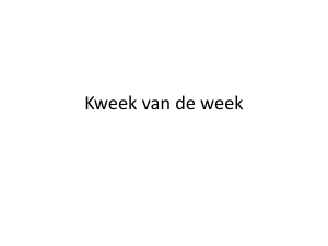 Kweek van de week