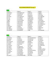 BLOONWOORDEN Groep 7