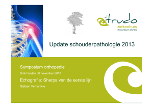 Update schouderpathologie 2013 - Sint