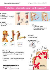 2. Pezen: oVerbinding spieren en botten 3. Botten oOndersteuning 4