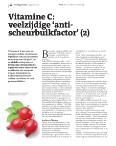 Vitamine C: veelzijdige `anti- scheurbuikfactor` (2)