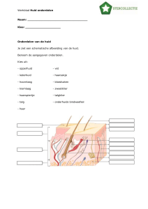 Practicum bekijken van bloedcellen