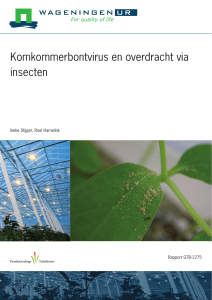 Komkommerbontvirus en overdracht via insecten