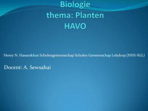 Biologie thema: Planten HAVO