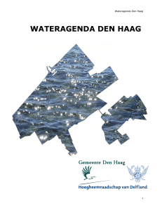 Waterplan Gemeente Den Haag - Hoogheemraadschap van Delfland