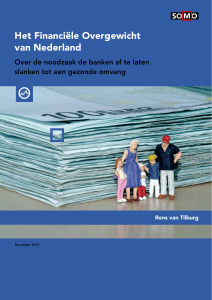Het Financiële Overgewicht van Nederland