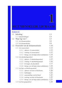 het menselijk lichaam