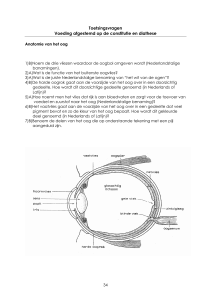 Toetsingsvragen voeding constitutie