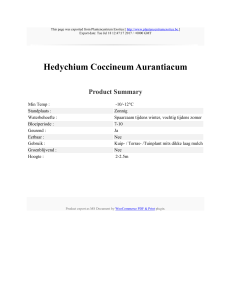 Hedychium Coccineum Aurantiacum : Plantencentrum Exotica : http