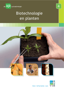 Biotechnologie en planten