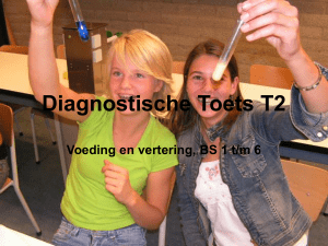 Diagnostische Toets T2
