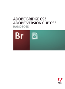 Bridge/Version Cue