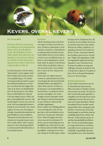Kevers, overal kevers