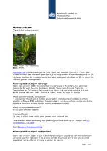 `Moeraslantaarn (Lysichiton americanus)` PDF document | 4
