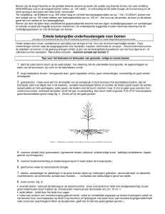Enkele belangrijke onderhoudsregels voor bomen