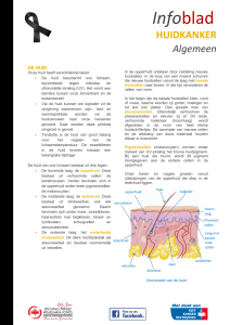 Infoblad HUIDKANKER Algemeen - Prinses Wilhelmina Fonds