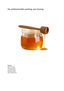 De antibacteriële werking van honing