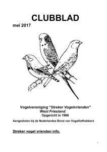 clubblad - Streker Vogelvrienden