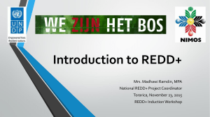 Introduction to REDD+