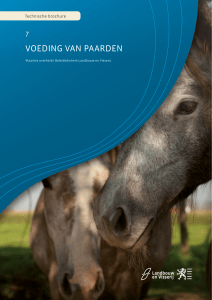 voeding van paarden - Departement Landbouw en Visserij