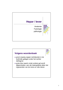Hepar / lever - FC