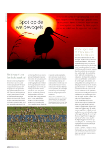 Spot op de weidevogels - Sovon Vogelonderzoek Nederland