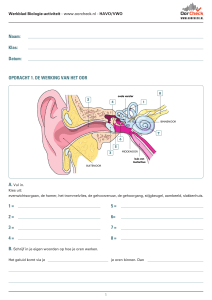 De werking van het oor HAVO/VWO
