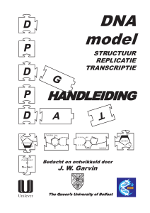 DNA model - IPN-Kiel