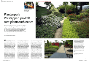TEL Plantenpark Verstappen prikkelt met plantcombinaties 3/2015